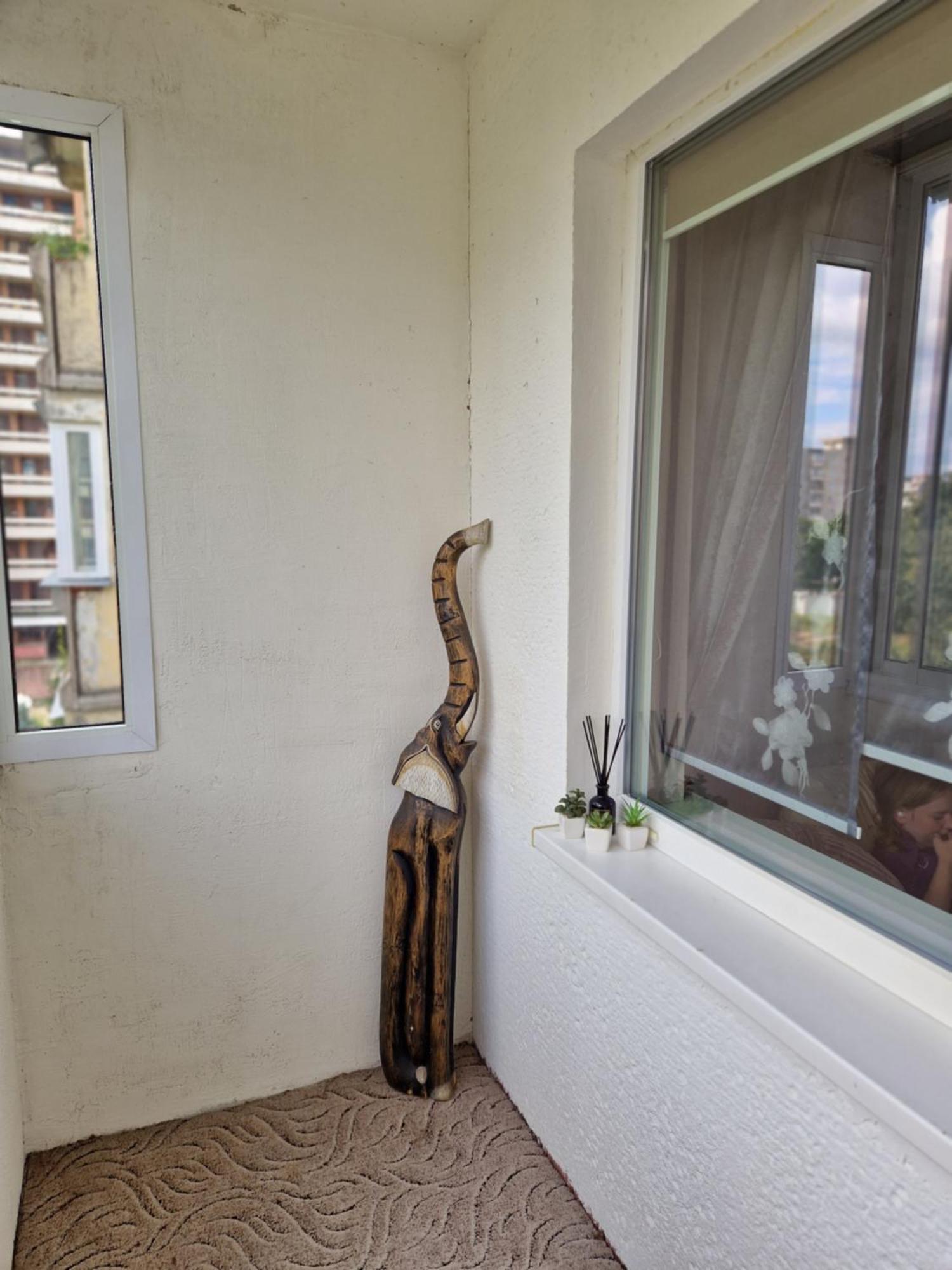カウナスSiaureアパートメント エクステリア 写真